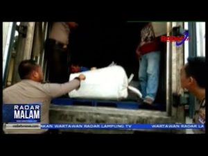1 2 Ton Daging Celeng Disita Petugas