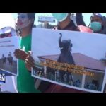 Elemen Kecam Festival Way Kambas 2019