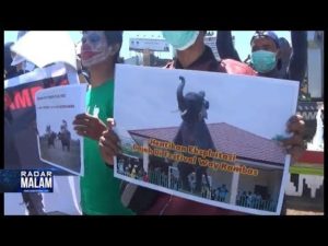 Elemen Kecam Festival Way Kambas 2019