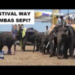 Festival Way Kambas Antiklimaks