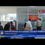 Formasi CPNS 2019, Dokter Spesialis & Disabilitas Sepi Peminat
