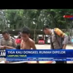 Kapok, Sering Dongkel Rumah Orang Akhirnya Dipelor Petugas