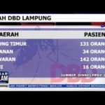 Lampung Darurat DBD, Ini Jumlah Korban DBD Di Kabupaten Kota