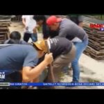 Polisi Grebek Pembunuh 2 Belantik Sapi