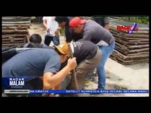 Polisi Grebek Pembunuh 2 Belantik Sapi