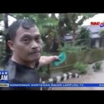 Setelah Tsunami Kini Lampung Selatan Diterjang Banjir Bandang dan Longsor