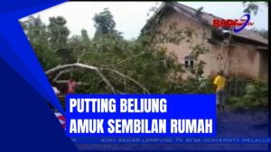 PUTTING BELIUNG AMUK SEMBILAN RUMAH