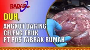 Truk PT Pos Angkut Daging Celeng Tabrak Rumah