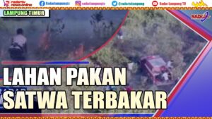 Lahan Pakan Satwa Terbakar