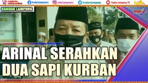 Arinal Serahkan Dua Sapi Kurban