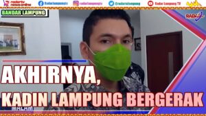 Kadin Lampung Bentuk Tim Pemulihan Ekonomi