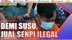 Jualan Senjata Api di Facebook Mitra TNI Diciduk