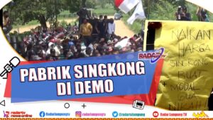Ketua Dprd Akan Pimpin Aksi Petani Singkong