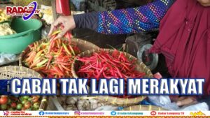 Cabai Tak Lagi Merakyat