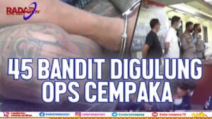 Ops Cempaka Krakatau 2021, Perjudian  dan Kejahatan Seksual Meningkat di Lampung Timur