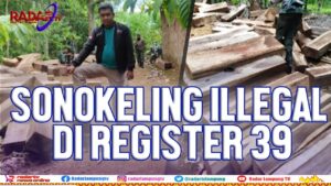 Kayu Sonokeling Ilegal Di Register 39 Diamankan