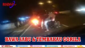 Bawa Sabu & Tembakau Gorila