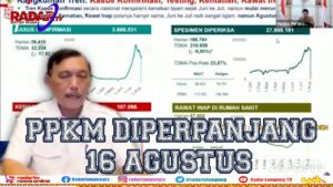 Diumumkan Menko Luhut Bukan Presiden Jokowi