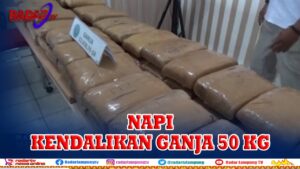 Dua Napi Kendalikan 50 Kilogram Ganja