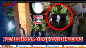 Dua Pemerkosa ODGJ Masih Bebas, Keadilan Bukan Milik Jelata