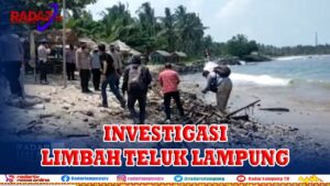 Limbah Kepung Teluk Lampung, DLH & Pertamina Mulai Investigasi