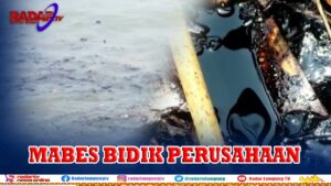 Limbah Minyak Kepung Teluk Lampung