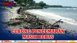 Limbah Minyak Mentah dan Aspal Kepung Teluk Lampung