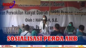 Sosialisasi Perda AKB, Hanifah Ajak Warga Vaksinasi