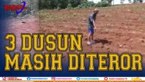 Beruang Teror 3 Dusun, Dua Bulan Perangkap Tak Berhasil