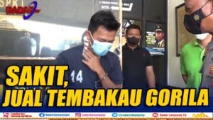 Dalih Idap Penyakit, Jual Tembakau Gorila