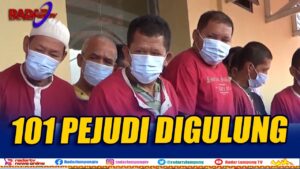Pejudi Ditangkap Ditangap Polda Lampung