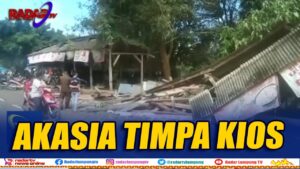 Akasia Tumbang Timpa Kios Pasar