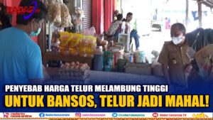 Untuk Bansos, Telur Ayam Jadi Mahal!