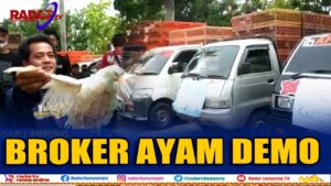 BROKER AYAM LAMPUNG DEMO DI PKOR