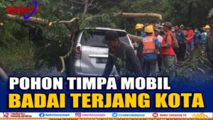 Badai Terjang Kota Bandar Lampung, 5 Luka Luka
