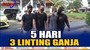 Dua Pecandu Ganja Dicokok Satnarkoba Polres Way Kanan