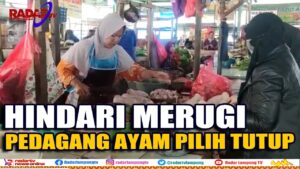 Hindari Merugi, Pedagang Ayam Pilih Tutup
