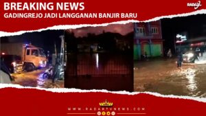 Kini, Gadingrejo Jadi Langganan Banjir Baru