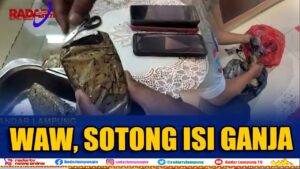Sotong Isi Ganja Diselundupkan Ke Lapas Rajabasa