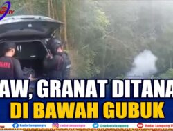 Granat dan Amunisi Ditanam Dibawah Gubuk Kebun Kopi