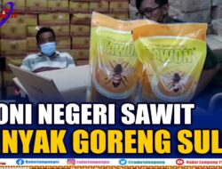 Ironi Negeri Sawit, Minyak Goreng Sulit