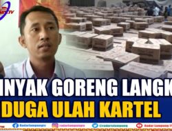 PENGAMAT: Minyak Goreng Langka Ulah Kartel