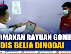 Termakan Rayuan Gombal, Gadis Belia Dinodai