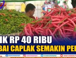 Naik Rp 40 Ribu, Cabai Caplak Semakin Pedas