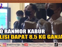 DPO Ranmor Kabur, Polisi Dapat 8,5 Kg Ganja