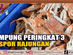 Lampung Peringkat 3 Ekspor Rajungan