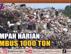Sampah Harian Tembus 1000 Ton