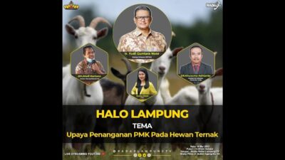 UPAYA PENANGANAN PMK PADA HEWAN TERNAK