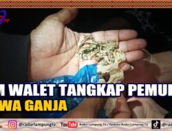 Tim Walet Tangkap Pemuda Bawa Ganja