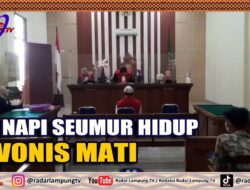 23 Napi Seumur Hidup, 3 Vonis Mati
